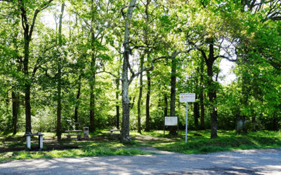 Travaux d’aménagement du bois de La Barthe: un projet « nature » et pédagogie