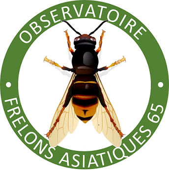 Ville de Séméac, observatoire frelons asiatiques 65 Ville de Séméac, observatoire frelons asiatiques 65
