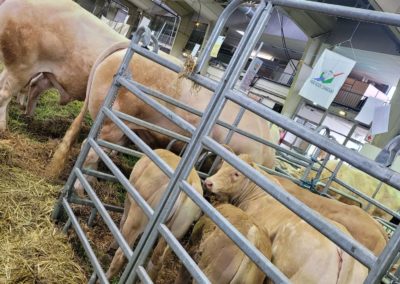 Foire Agricole de Tarbes, 10/03/2022