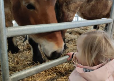 Foire Agricole de Tarbes, 10/03/2022