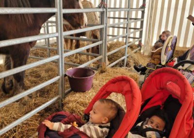 Foire Agricole de Tarbes, 10/03/2022