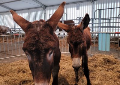 Foire Agricole de Tarbes, 10/03/2022