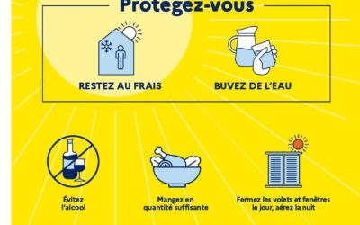 Fortes chaleurs, canicule: ce qu’il faut faire et ne pas faire