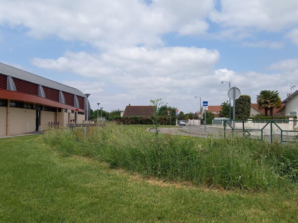 Gestion_differeenciee_cimetiere_mai2022_caroline_bapt (6)_bd