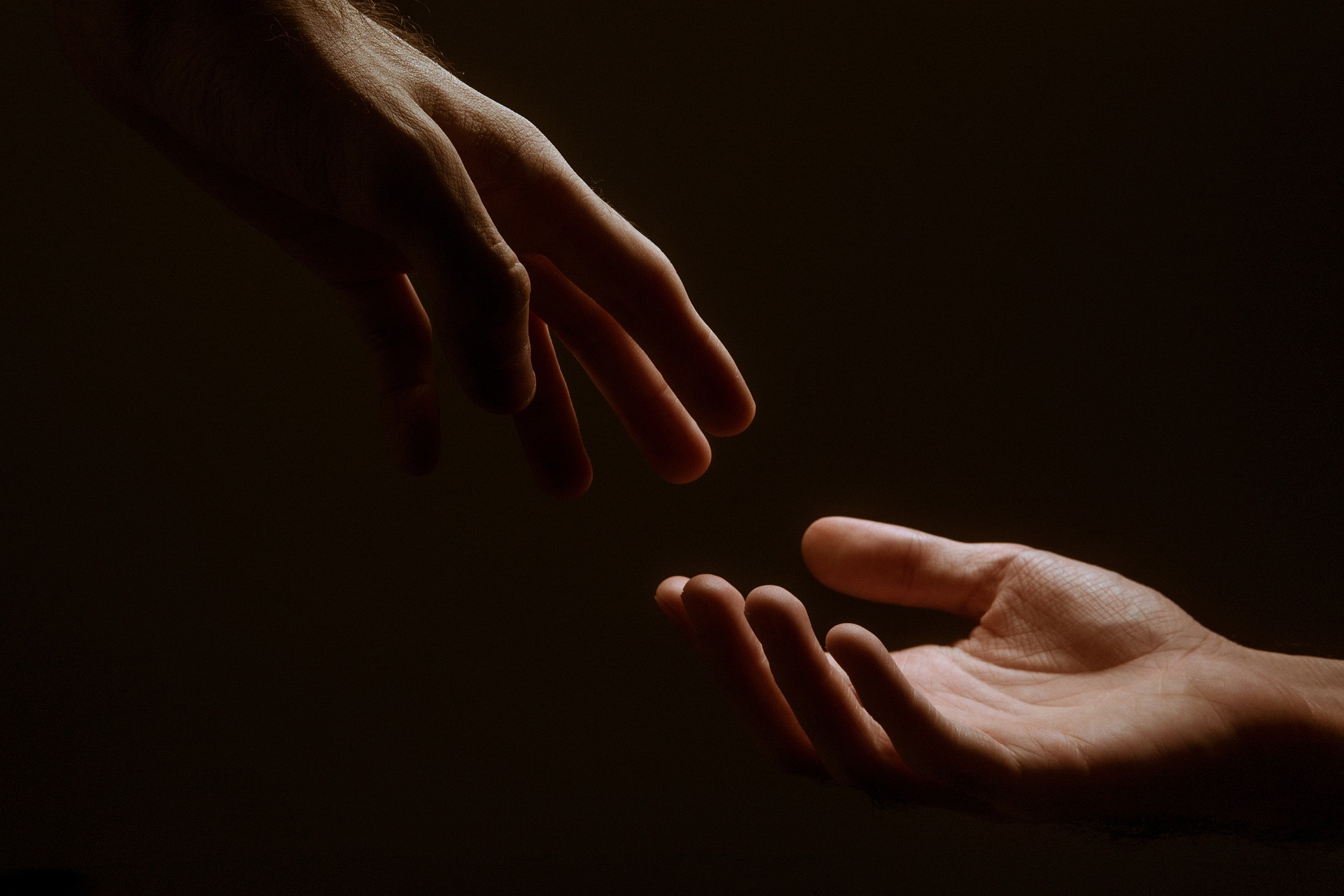 MAINS_SOLIDARITE 2