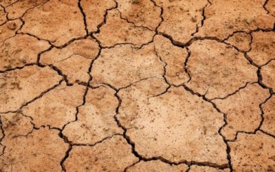 Sècheresse de l’été 2022 : faites-vous connaitre !
