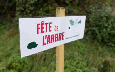 Fête de l’arbre