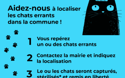 Aidez votre commune à stériliser les chats errants !