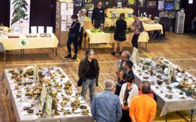 Exposition mycologique les 18 et 19 octobre au Centre Léo Lagrange