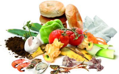 Des collecteurs de bio déchets à Séméac..