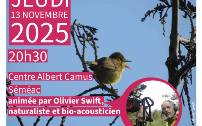 Conférence Immersive, à l’écoute de Séméac !