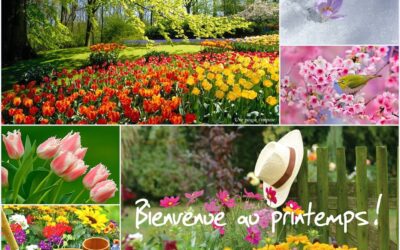 le mois de mars au jour le jour, la venue du printemps et le changement d&rsquo;heure