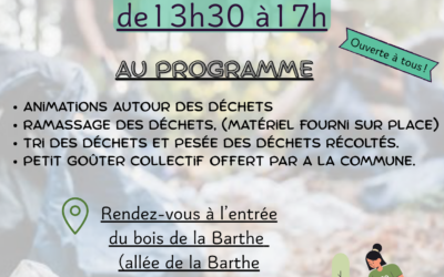 Après-midi solidaire : collecte de déchets